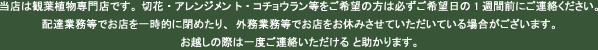 当店は観葉植物専門店です。切花・アレンジメン ト・コチョウラン等をご希望の方は必ずご希望日の1週間前にご連絡ください。